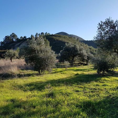 Casa Das Oliveiras ألفادوس المظهر الخارجي الصورة