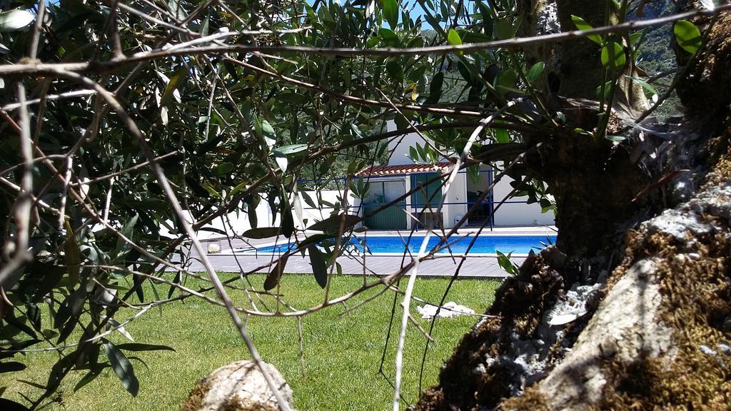 Casa Das Oliveiras ألفادوس المظهر الخارجي الصورة