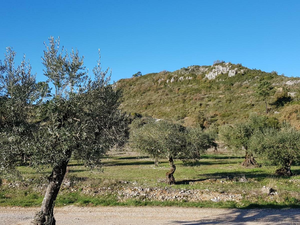 Casa Das Oliveiras ألفادوس المظهر الخارجي الصورة